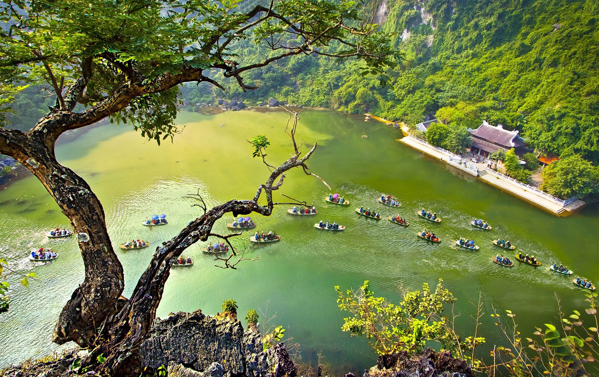 Du lịch Tr&agrave;ng An Ninh B&igrave;nh trong ng&agrave;y chưa đến 500.000 đồng
