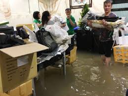 Đ&agrave;m Vĩnh Hưng thống k&ecirc; thiệt hại sau mưa lớn