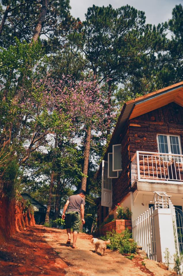 INDIgo Home &ndash; Homestay đẹp như mơ cho chuyến du lịch Đ&agrave; Lạt