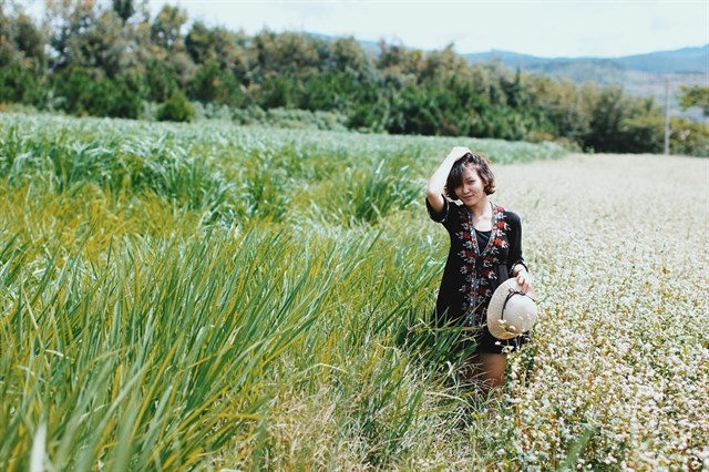 Địa điểm đẹp m&ecirc; hồn ở Đ&agrave; Lạt cho t&iacute;n đồ 'sống ảo'