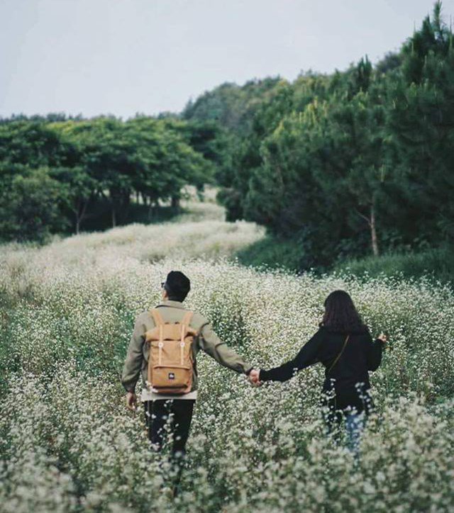 Địa điểm đẹp m&ecirc; hồn ở Đ&agrave; Lạt cho t&iacute;n đồ 'sống ảo'