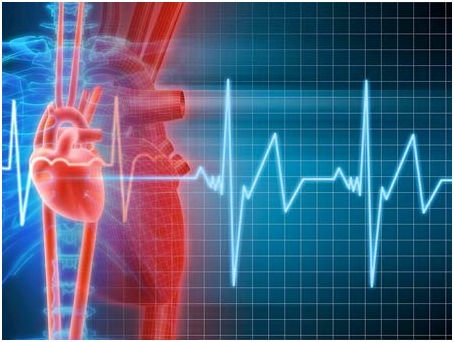 7 dấu hiệu tố c&aacute;o bạn c&oacute; nguy cơ bị đau tim