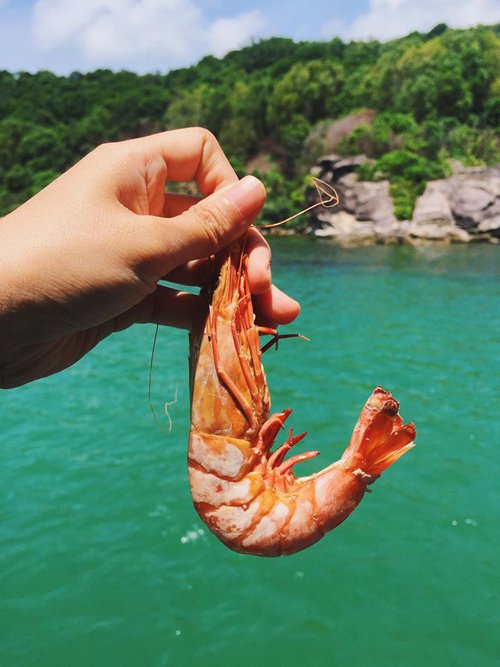 Kinh nghiệm du lịch Ph&uacute; Quốc v&ocirc; c&ugrave;ng l&atilde;ng mạn