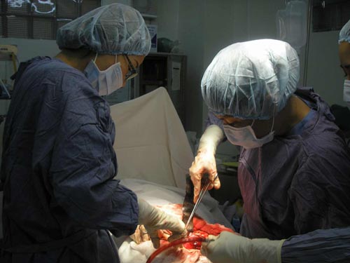 Ung thư buồng trứng: &ldquo;s&aacute;t thủ thầm lặng&rdquo; của phụ nữ