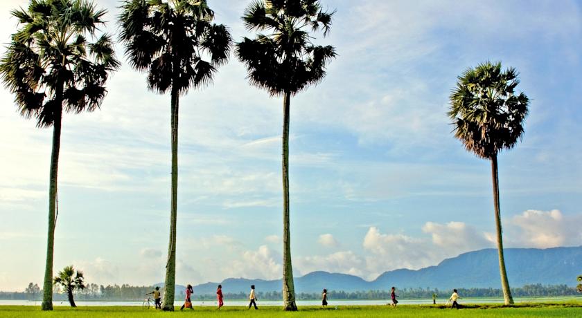 M&ugrave;a nước nổi ở Ch&acirc;u Đốc k&eacute;o d&agrave;i từ 8 đến th&aacute;ng 11, l&agrave; thời điểm th&iacute;ch hợp cho một chuyến đi du lịch đầy mới mẻ. Sau đ&acirc;y l&agrave; những kinh nghiệm du lịch Ch&acirc;u Đốc m&ugrave;a nước nổi v&ocirc; c&ugrave;ng hữu &iacute;ch với bạn.