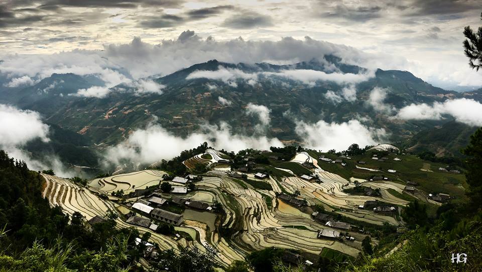 Kinh nghiệm du lịch Ho&agrave;ng Su Ph&igrave; hữu &iacute;ch cho c&aacute;c phượt thủ