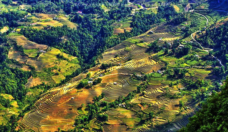 Kinh nghiệm du lịch Ho&agrave;ng Su Ph&igrave; hữu &iacute;ch cho c&aacute;c phượt thủ