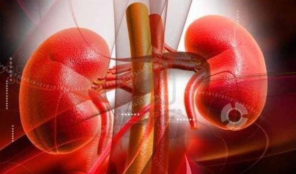 10 c&ocirc;ng dụng tuyệt vời từ củ cải m&agrave; bạn chưa biết