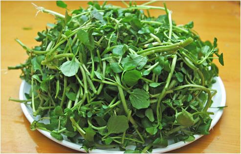 &lsquo;Thực hư&rsquo; cải xoong gi&uacute;p ph&ograve;ng chống ung thư