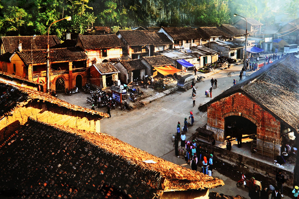Lễ hội hoa tam gi&aacute;c mạch 2016 c&oacute; những g&igrave;