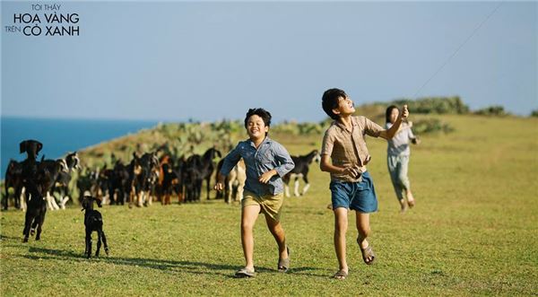 Cả tuần du lịch Quy Nhơn &ndash; Tuy H&ograve;a chỉ với với 3 triệu đồng