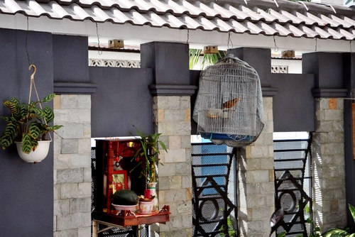 Biệt thự xa hoa hơn 40 tỷ đồng của vợ chồng L&yacute; Hải - Minh H&agrave;