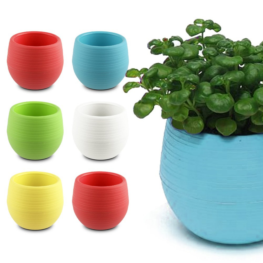 Lựa chọn qu&agrave; tặng ng&agrave;y 20/10 độc đ&aacute;o cho c&ocirc; n&agrave;ng y&ecirc;u thi&ecirc;n nhi&ecirc;n