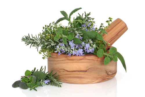 Những loại thảo dược gi&uacute;p hạ đường huyết hiệu quả