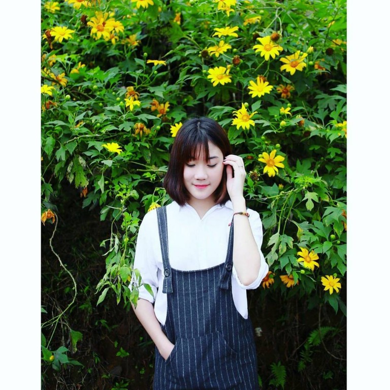 Một m&ugrave;a hoa d&atilde; quỳ ở Ba V&igrave; lại đến