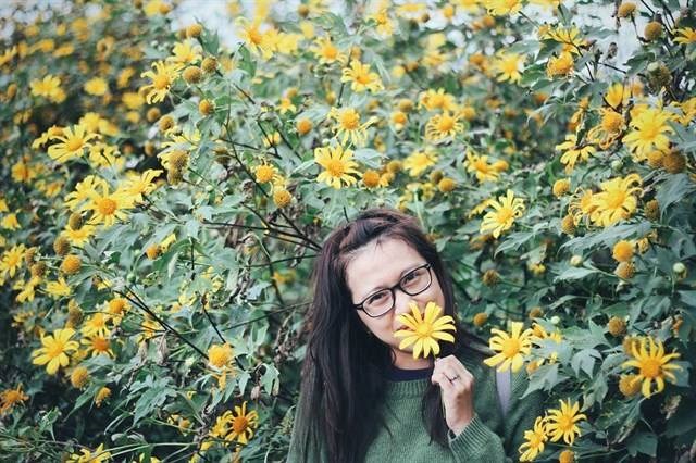 Một m&ugrave;a hoa d&atilde; quỳ ở Ba V&igrave; lại đến