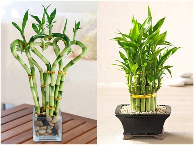 Mang t&agrave;i lộc v&agrave;o nh&agrave; nhờ c&aacute;ch trang tr&iacute; nội thất theo phong thủy