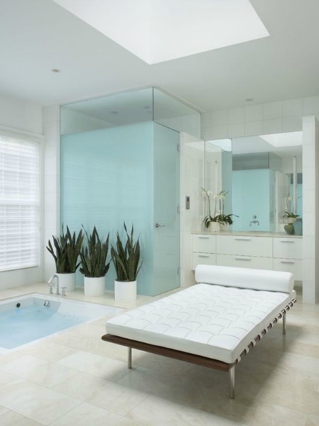 Những loại c&acirc;y th&iacute;ch hợp m&agrave; bạn n&ecirc;n trồng trong ph&ograve;ng tắm 