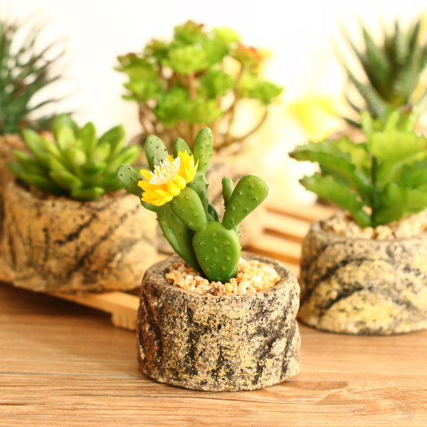Đừng đặt những món đồ sau nên bàn làm việc để tránh phong thủy xấu