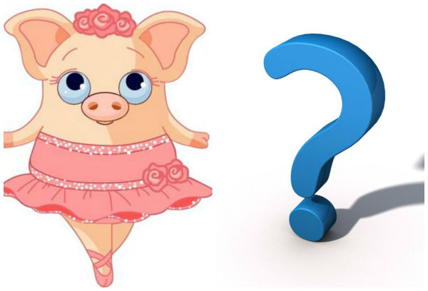 Vận tr&igrave;nh của 12 con gi&aacute;p tuần mới từ 19/12 đến 25/12/2016 diễn ra thế n&agrave;o?