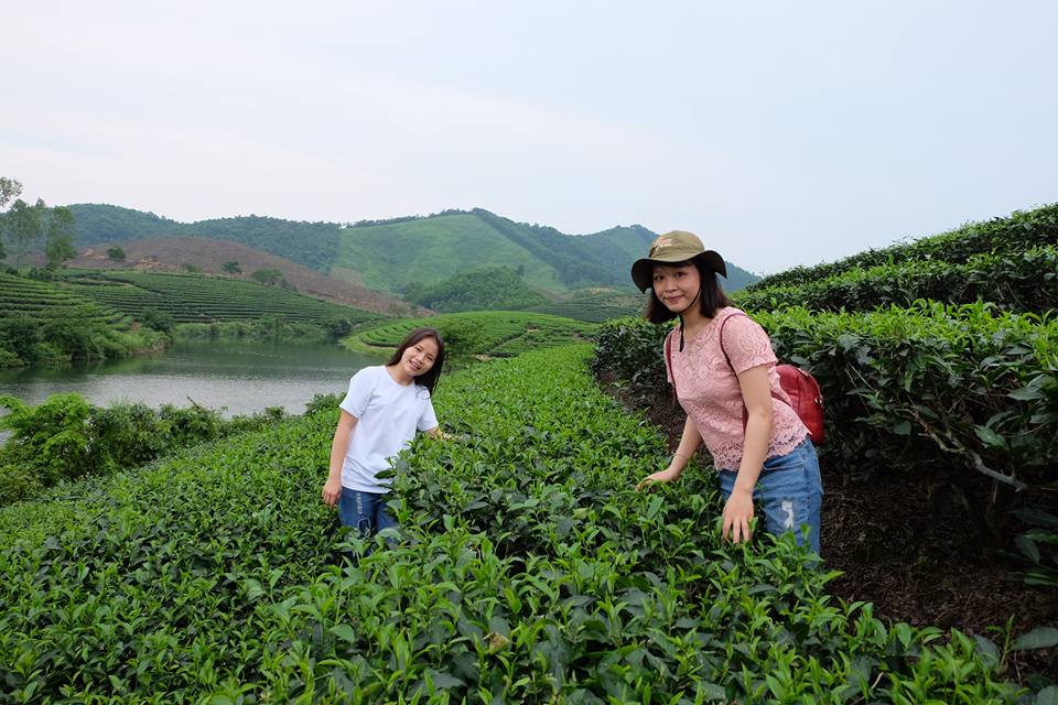 oc-dao-che-xanh-o-nghe-an