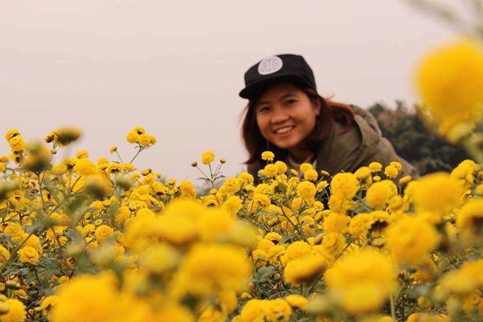 canh-dong-cuc-tien-vua-o-hung-yen 