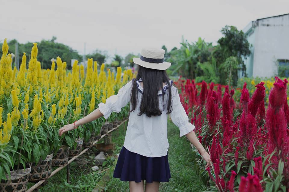 lang-hoa-sa-dec