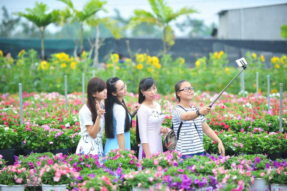 lang-hoa-sa-dec
