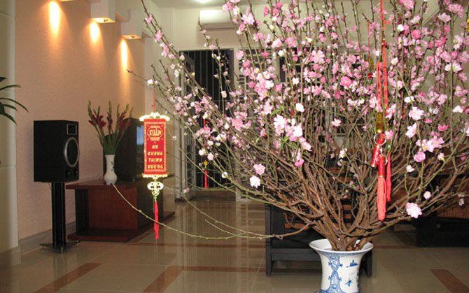 bi-quyet-chon-dao-dep