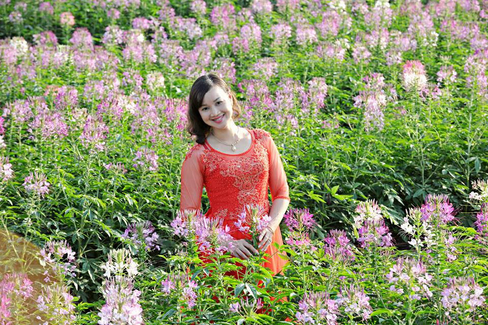 canh-dong-hoa-tuy-diep-hut-hon-du-khach