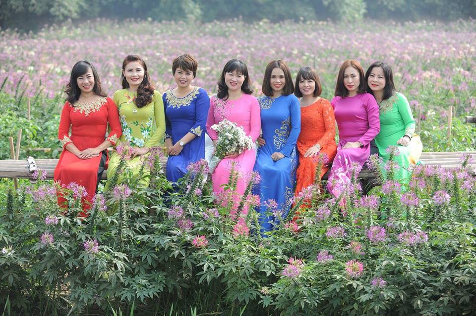 canh-dong-hoa-tuy-diep-hut-hon-du-khach
