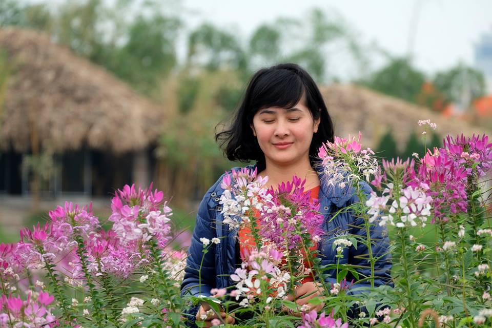 canh-dong-hoa-tuy-diep-hut-hon-du-khach
