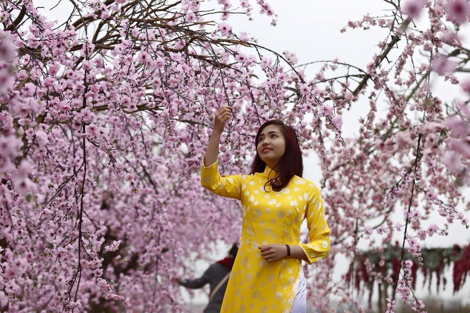 nam-thanh-nu-tu-ron-rang-check-in-vuon-dao-nhat-tan-dip-giap-tet
