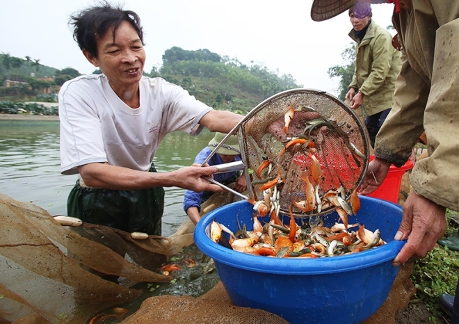 nhon-nhip-lang-ca-chep-truoc-ngay-ong-cong-ong-tao