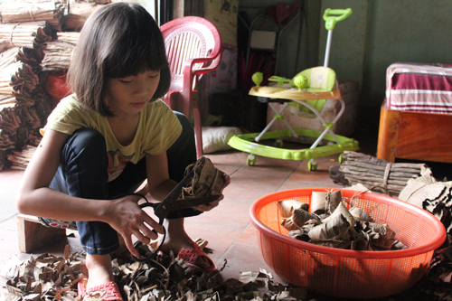 lang-banh-gai-lon-nhat-xu-thanh-vao-dip-can-tet