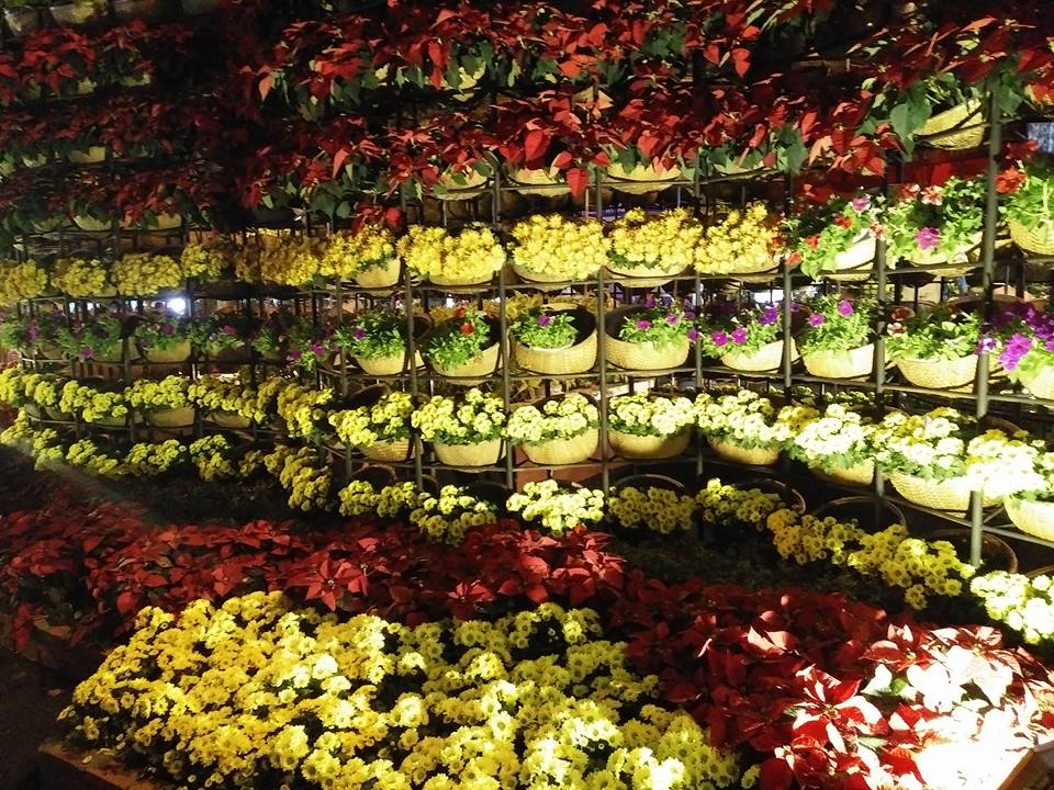 Hoi-hoa-xuan-KCN-Hiep Phuoc