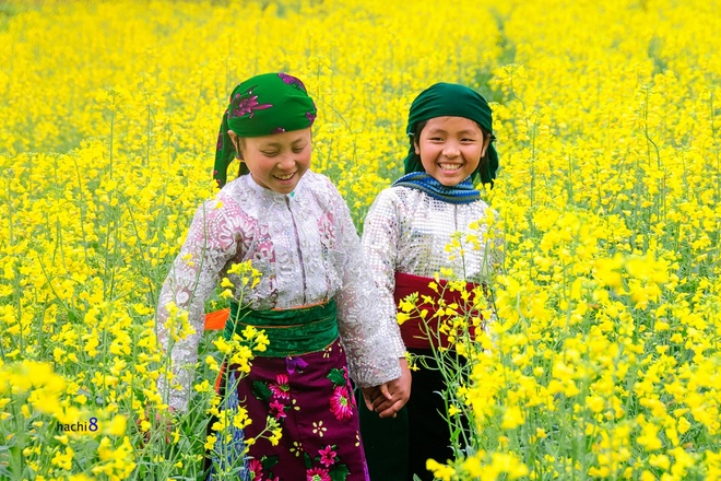 mua-xuan-tren-cao-nguyen-da-ha-giang