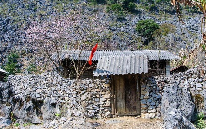 mua-xuan-tren-cao-nguyen-da-ha-giang