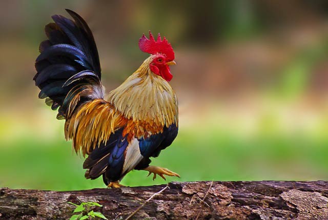 Ghen tị với những con gi&aacute;p th&ocirc;ng minh v&agrave; gi&agrave;u c&oacute; cả đời