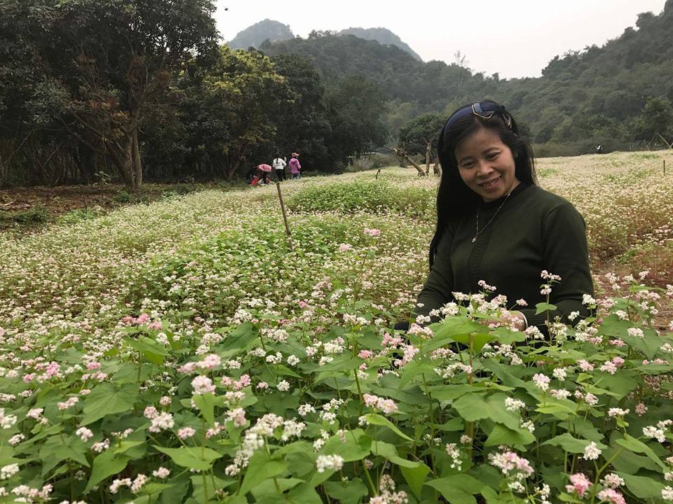 vuon-hoa-tam-giac-mach-o-Ninh Binh