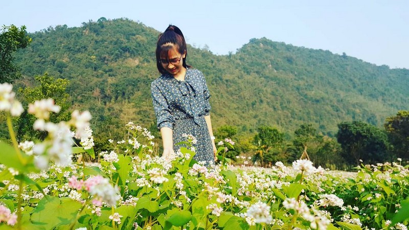 vuon-hoa-tam-giac-mach-o-Ninh Binh