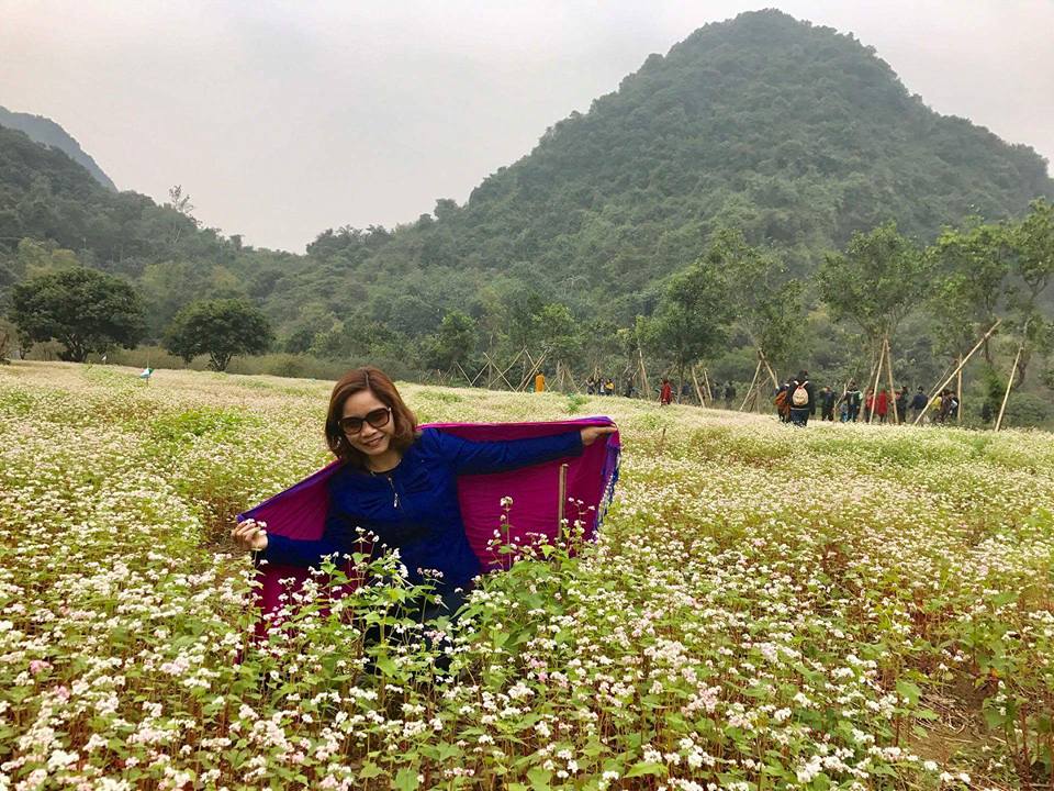 vuon-hoa-tam-giac-mach-o-Ninh Binh