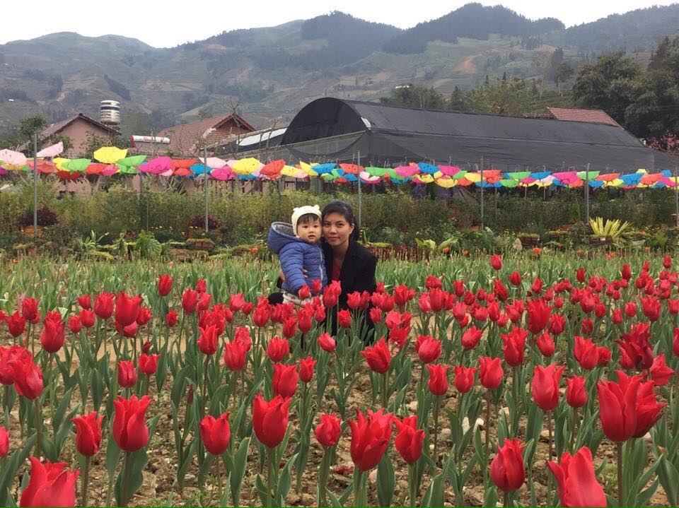 vuon-hoa-tuylip-o-lao-cai