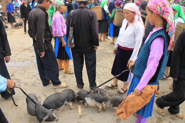Chẳng cần tiền, đến chợ phi&ecirc;n M&egrave;o Vạc vẫn mua được 'rổ' niềm vui