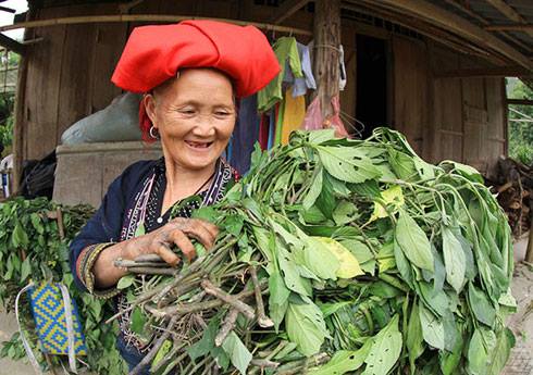 5 trải nghiệm bạn kh&ocirc;ng n&ecirc;n bỏ lỡ khi du lịch đến Sapa