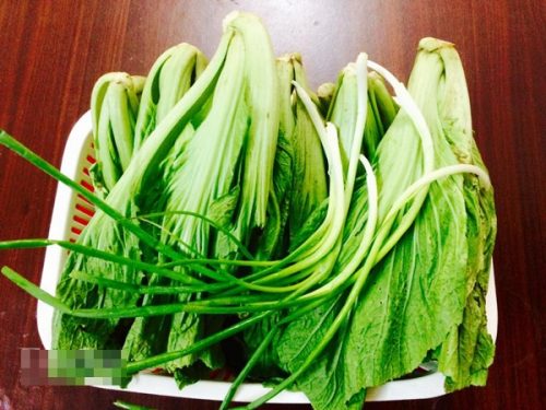 M&oacute;n ngon mỗi ng&agrave;y: C&ocirc;ng thức muối dưa ngon đ&uacute;ng vị