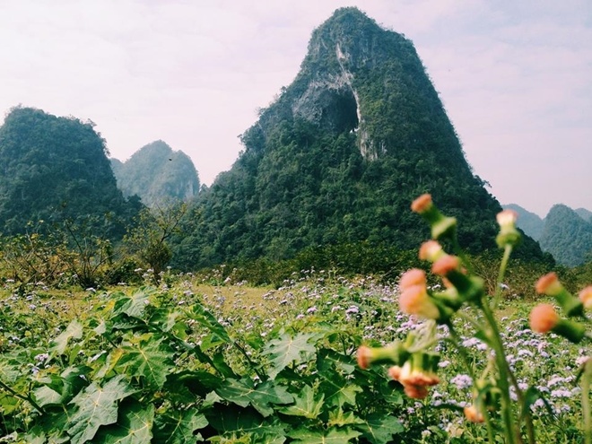 Ph&aacute;t hiện 'Tuyệt t&igrave;nh cốc' mới đẹp lung linh ở Cao Bằng