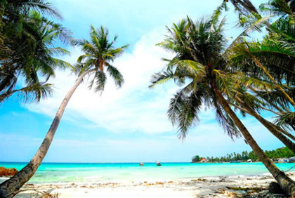 Kh&aacute;m ph&aacute; 8 h&ograve;n đảo thi&ecirc;n đường 'đẹp như mơ' ở Việt Nam