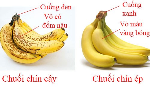 Tuyệt chi&ecirc;u ph&acirc;n biệt quả ch&iacute;n c&acirc;y v&agrave; ch&iacute;n &eacute;p bằng mắt thường