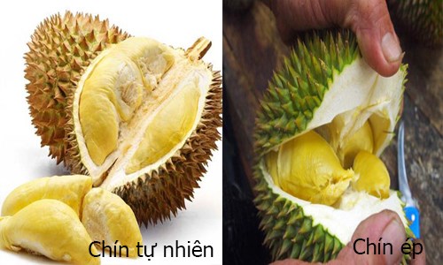 Tuyệt chi&ecirc;u ph&acirc;n biệt quả ch&iacute;n c&acirc;y v&agrave; ch&iacute;n &eacute;p bằng mắt thường